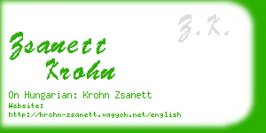 zsanett krohn business card